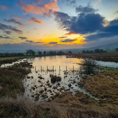 Lakeside View at Broom Mill