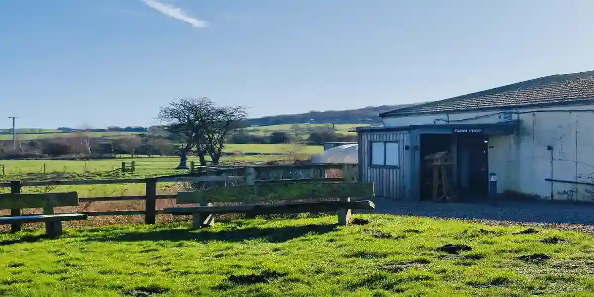 Broom Mill Farm Shop Traditional Butchers Counter