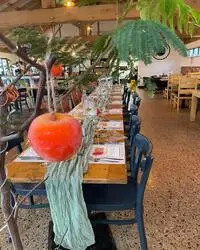 Christmas Fayre at Broom Mill Farm
