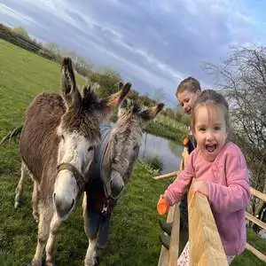 The mini farmers with the donkeys at Broom Mill Farm