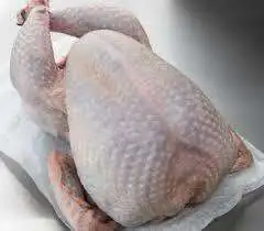 Free range turkey at Broom Mill Farm