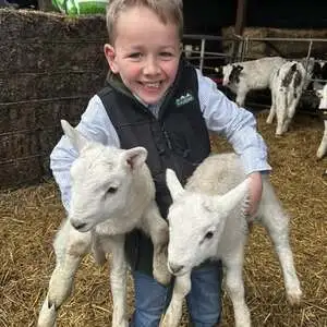 Jack with the lambs at Broom Mill Farm