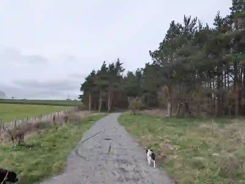 Toft Hill walking route